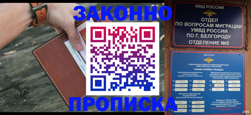 прописка поиск в Балашихе